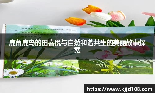 鹿角鹿岛的田喜悦与自然和谐共生的美丽故事探索